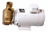 Jabsco CP40-24V - 1½" Bronze Reversible Self-priming Liquid Ring Pump 24v d.c.