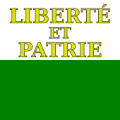 Waadt Flag 20x30cm