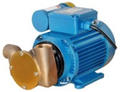 Jabsco 53021-2013-230 - Utility 20 Ft Self-Priming Flexible Impeller Pump