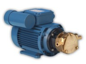 Jabsco 50005-8413 - Bronze MPU Pump for 230VAC Systems