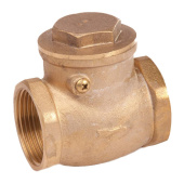 Non-return Valve With Hinge 1/2" 