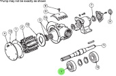 Jabsco SP2601-39 - Pump End Bearing