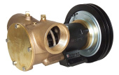 Jabsco 50270-2111 - 2" bronze pump, 270-size, foot mounted with BSP threaded ports