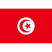 Tunisia Flag 30x40cm