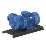 GMP Pump EAFL 11 KW 400/690 Self-suction cast iron pump