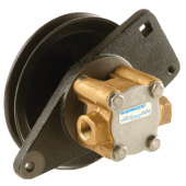 Sherwood G8002 - Bronze Impeller Pump