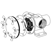 Johnson Pump Set of Stainless Steel Wingnuts 'Pinwing' & Threaded Rod, Set H (6pcs. M8 X M6)