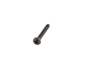 Talamex Stainless Steel AISI 304 Plate Screw Cylinder Phillips Head DIN 7981 3,5 x 9,5 (72 pcs)