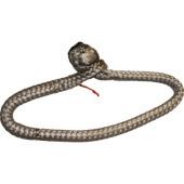 Plastimo 63835 - Dyneema™ Soft Shackle Loop 04mm 100mm