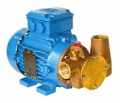 Jabsco 53041-2003-400 - Utility 40' 1 in Self-Priming Flexible Impeller Pump