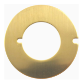 Jabsco Wear Plate ø38 mm