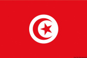 Osculati 35.438.02 - Flag Tunisia 30 x 45 cm