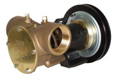 Jabsco 50270-2211 - 2" bronze pump, 270-size, foot mounted with BSP threaded ports 1B 12V