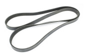 Sierra 18-15112 Serpentine Belt For Mercruiser Engines