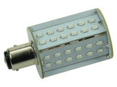 Talamex LED 36 10-30V BAY15D Duocolor