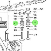 Nanni Diesel 970312173 - Compression Spring for Camshaft and Valve Assembly