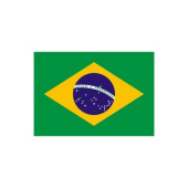 Plastimo 64386 - Brazil courtesy flag 30x45 cm