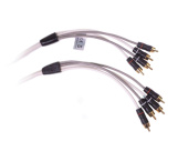 Fusion MS-FRCA25 - RCA Cable 25 ft / 7.62 m 4-Channel