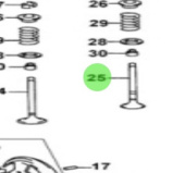 Nanni Diesel 970312651 - Exhaust Valve for T6 Series Engines
