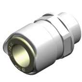 Whale WX1514B - Male Adaptor (1/2" BSP - 15mm)