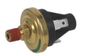 Kohler GM30263 - Coolant Pressure Switch LWP