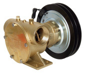 Jabsco 50200-2011 - 1 1/2" bronze pump, 200-size, foot-mounted with BSP threaded ports 2A 12V