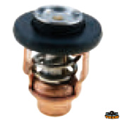 Trem N0119434 - Mercury Thermostat 8M0139434