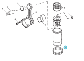 Northern Lights AR65507 - O-ring Kit 