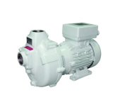 Gianneschi 01ABM3212B101 - BMA-S 32/125 B1 24 V 0.75 kW 2900 Rpm Self Priming Pump
