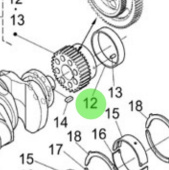 Nanni Diesel 970307933 - Crankshaft Sleeve for Crankshaft and Piston Assembly