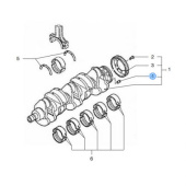 Vetus VFP01712 - Dowel