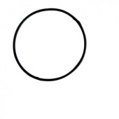 NASA O-Ring for Instruments