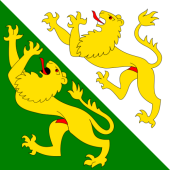 Allpa Thurgau Flag 20x30cm