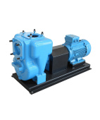 GMP Pump EAVM 11 KW 400/690 Self-suction cast iron pump