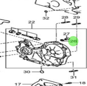 Nanni Diesel 970314026 - Oil Pump Relief Valve Gasket for T4 Series Engines