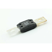 Mega Fuse 60A (32V)