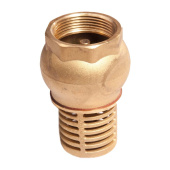 Brass Footvalve Without Spring 1" Internal Thread
