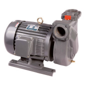 Ulex-BB-3T (Showfou SP-332E) Pump 400V