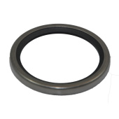 Steyr Motors 2180850-0 - Sealing Ring, Thermostat "SE"