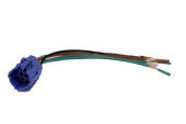 Hollex Connection Plug 19mm Wired for Push Button