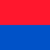 Allpa Tessin Flag 20x30cm
