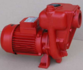 Binda Pompe DPBIG20 - Self-priming Electric Pump Diesel Pump Big 2,0