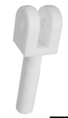 Osculati 46.625.03 - Spare Rowlock For Nylon White Bimini Tops