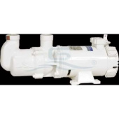 Gianneschi Self-Priming Blackwater Worm Pump Up To 117 LTR MVI 80 230/400 3PH 1.5KW