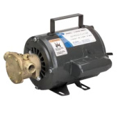 Jabsco 11810-0011 - Bronze AC Motor Pump, 115 VAC Neoprene Impeller 9.5GPM W/1/2" NPT