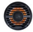 Aquatic AV Pro Classic 6.5" Speaker - Black 2 x 30W