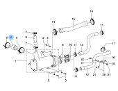 Vetus STM9618 - Hose DT(A)44 / DT(A)66