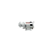 Gianneschi Self-Priming Gear Pump IN 12 24VOLT 0.25KW 10L/20M