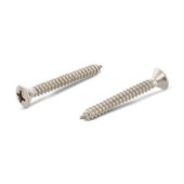 Euromarine DIN 7983 Raised Countersunk Self-Tapping Screws PZ A4 Stainless Steel