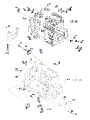 Vetus VD20024 - Core Hole Plug